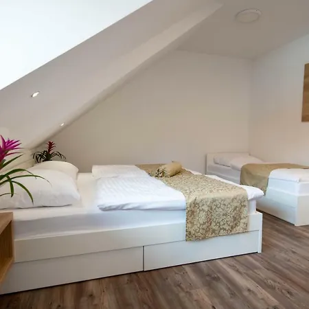 Guesthouse Stari Mayr Kranj Esterno foto
