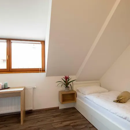 Guesthouse Stari Mayr Kranj Esterno foto