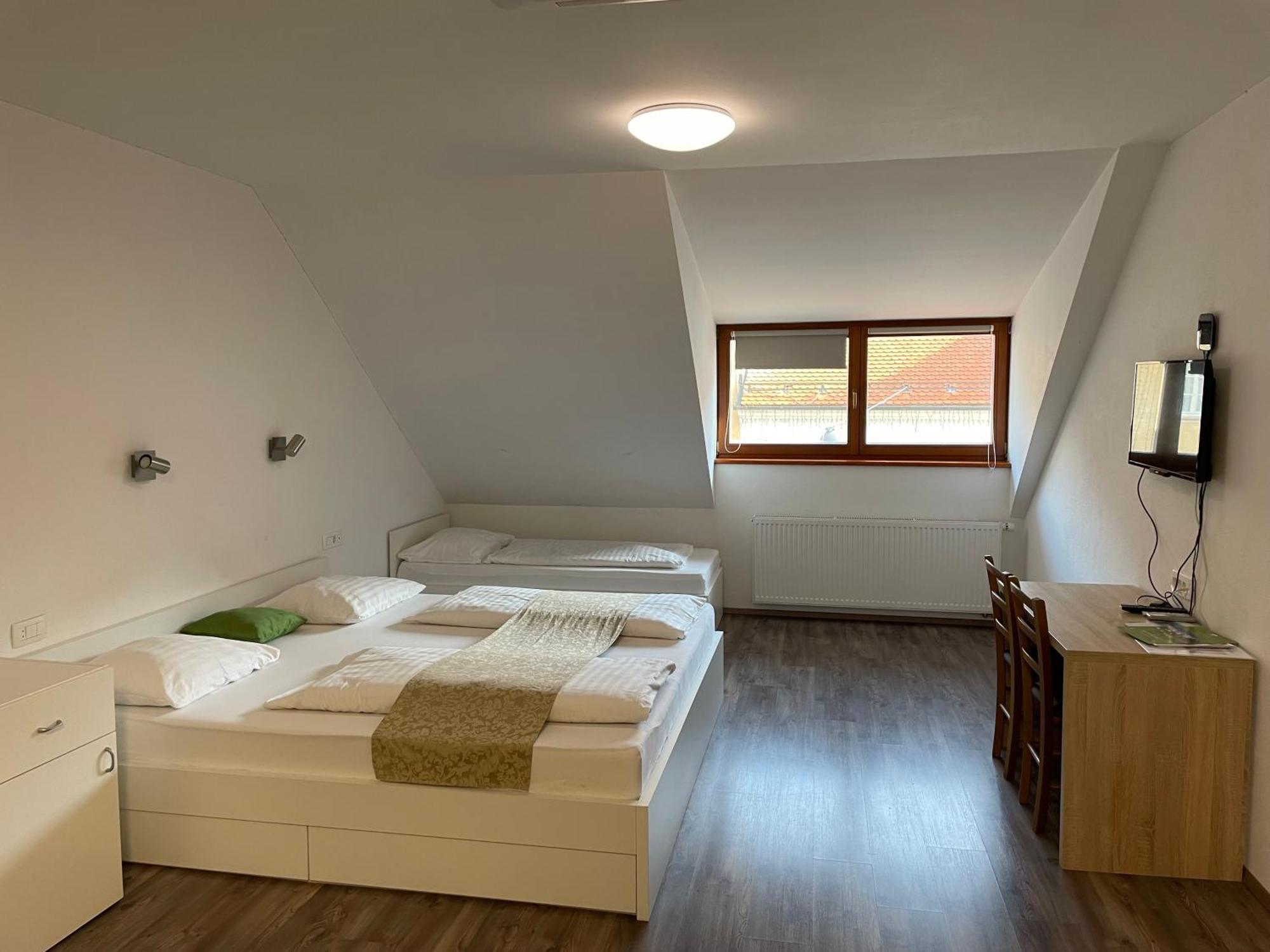 Stari Mayr 2* Kranj
