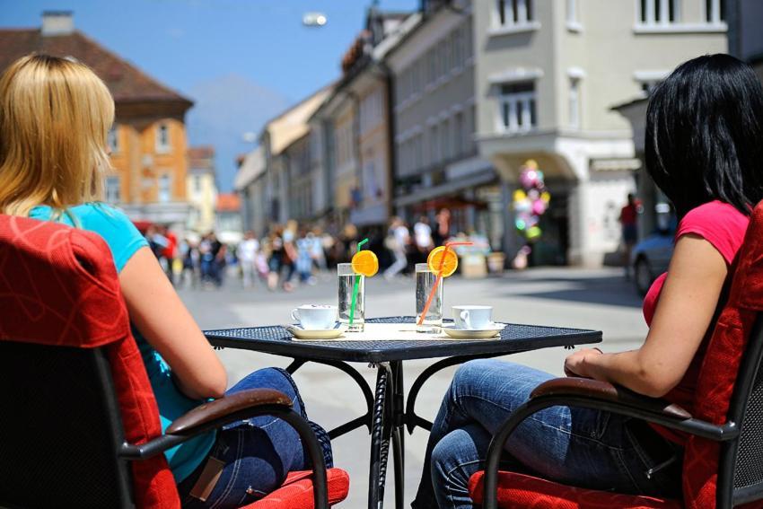 Guest house Stari Mayr 2*